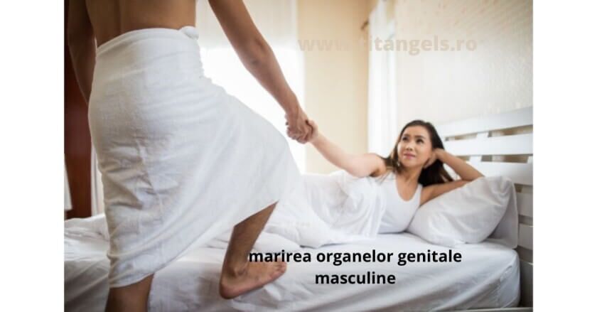 Creșterea Organului Genital